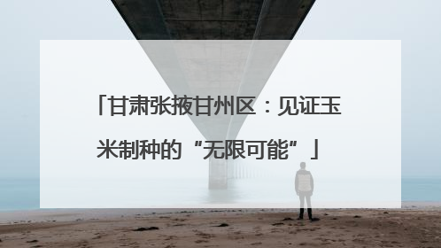 甘肃张掖甘州区：见证玉米制种的“无限可能”