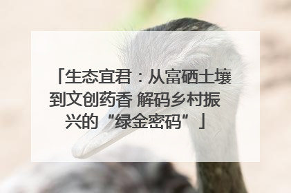 生态宜君：从富硒土壤到文创药香 解码乡村振兴的“绿金密码”