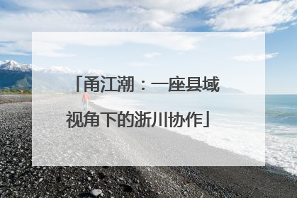 甬江潮：一座县域视角下的浙川协作