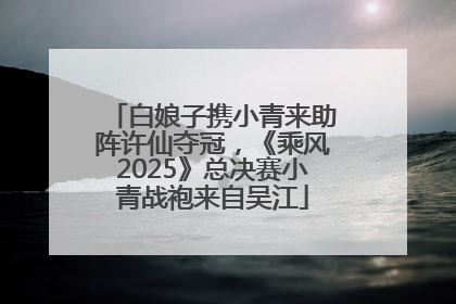 白娘子携小青来助阵许仙夺冠，《乘风2025》总决赛小青战袍来自吴江