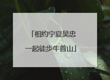 相约宁夏吴忠 一起徒步牛首山