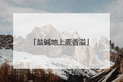 盐碱地上麦香溢