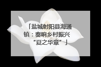 盐城射阳县海通镇：奏响乡村振兴“夏之华章”