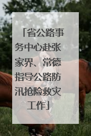 省公路事务中心赴张家界、常德指导公路防汛抢险救灾工作
