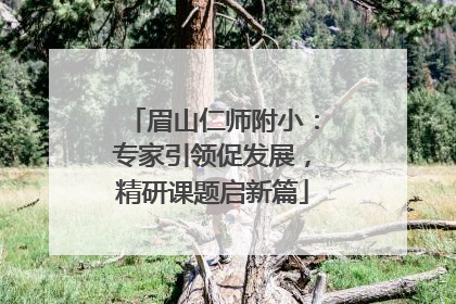 眉山仁师附小：专家引领促发展，精研课题启新篇