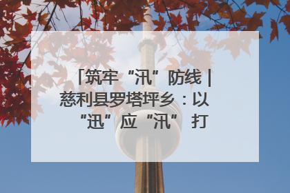 筑牢“汛”防线｜慈利县罗塔坪乡：以“迅”应“汛” 打赢暴雨防御战