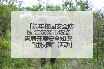 筑牢校园安全防线 江汉区市场监管局开展安全知识“进校园”活动
