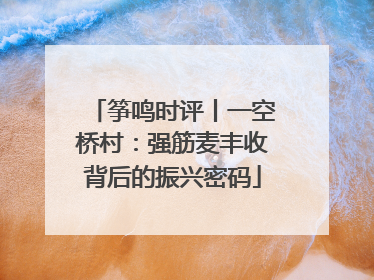筝鸣时评丨一空桥村：强筋麦丰收背后的振兴密码