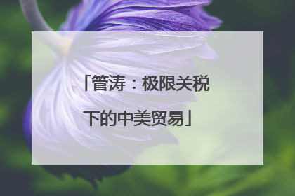 管涛：极限关税下的中美贸易