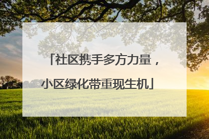 社区携手多方力量，小区绿化带重现生机