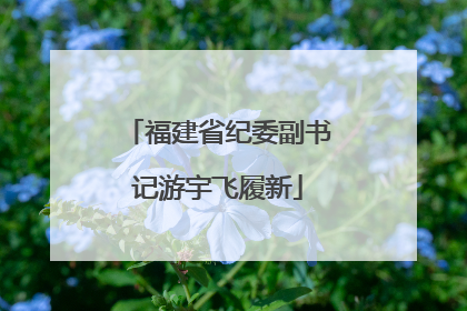 福建省纪委副书记游宇飞履新