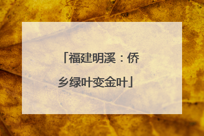 福建明溪：侨乡绿叶变金叶