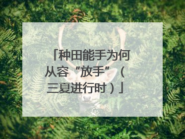 种田能手为何从容“放手”（三夏进行时）