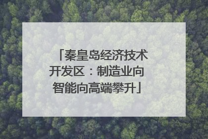 秦皇岛经济技术开发区：制造业向智能向高端攀升