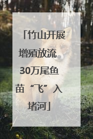 竹山开展增殖放流 30万尾鱼苗“飞”入堵河