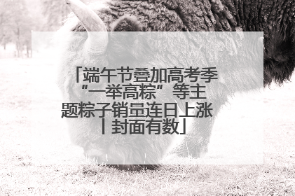 端午节叠加高考季 “一举高粽”等主题粽子销量连日上涨丨封面有数