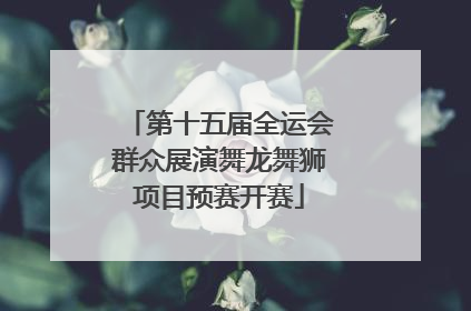 第十五届全运会群众展演舞龙舞狮项目预赛开赛