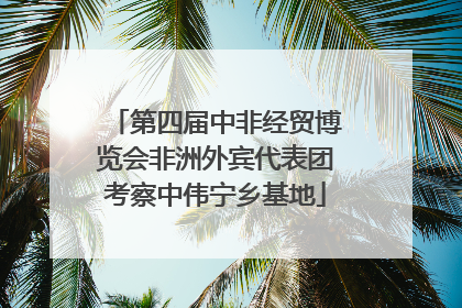 第四届中非经贸博览会非洲外宾代表团考察中伟宁乡基地