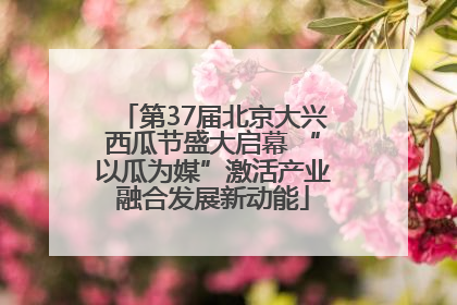 第37届北京大兴西瓜节盛大启幕 “以瓜为媒”激活产业融合发展新动能