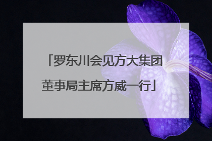 罗东川会见方大集团董事局主席方威一行