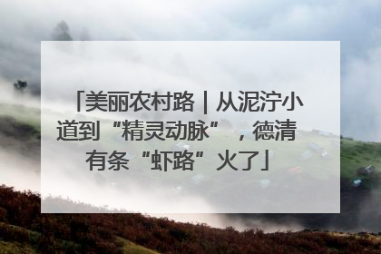美丽农村路｜从泥泞小道到“精灵动脉”，德清有条“虾路”火了