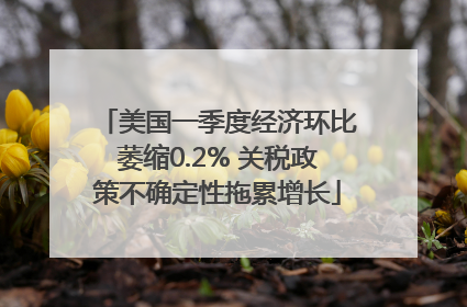 美国一季度经济环比萎缩0.2% 关税政策不确定性拖累增长