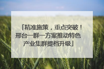 精准施策，重点突破！邢台一群一方案推动特色产业集群提档升级