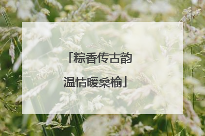 粽香传古韵 温情暖桑榆