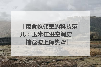 粮食收储里的科技范儿：玉米住进空调房 粮仓披上隔热罩