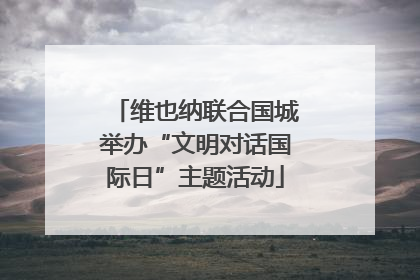 维也纳联合国城举办“文明对话国际日”主题活动
