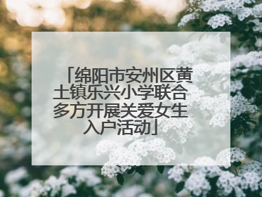 绵阳市安州区黄土镇乐兴小学联合多方开展关爱女生入户活动