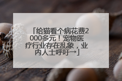 给猫看个病花费2000多元！宠物医疗行业存在乱象，业内人士呼吁→