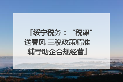绥宁税务：“税课”送春风 三税政策精准辅导助企合规经营