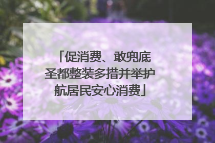 促消费、敢兜底 圣都整装多措并举护航居民安心消费