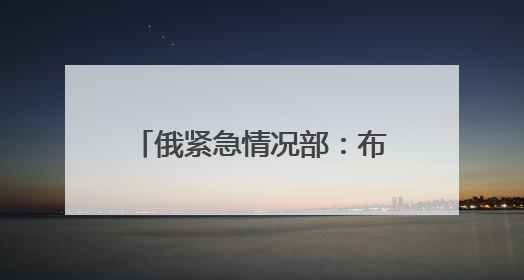 俄紧急情况部：布良斯克州桥梁坍塌事故已致7死47伤