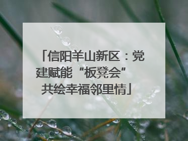 信阳羊山新区：党建赋能“板凳会” 共绘幸福邻里情