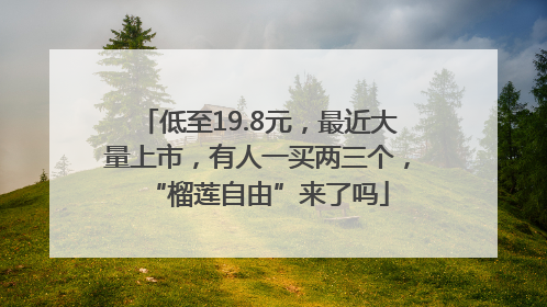 低至19.8元，最近大量上市，有人一买两三个，“榴莲自由”来了吗