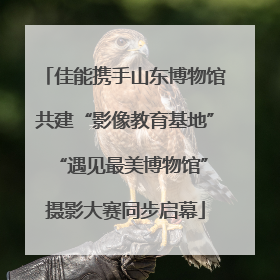 佳能携手山东博物馆共建“影像教育基地” “遇见最美博物馆”摄影大赛同步启幕