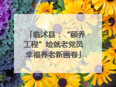 临沭县：“颐养工程”绘就老党员幸福养老新画卷