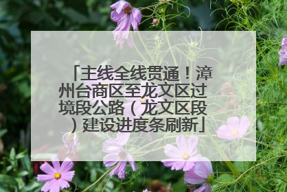 主线全线贯通！漳州台商区至龙文区过境段公路（龙文区段）建设进度条刷新