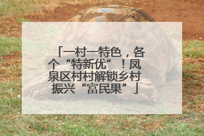 一村一特色，各个“特新优”！凤泉区村村解锁乡村振兴“富民果”