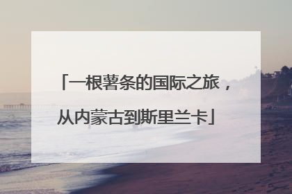 一根薯条的国际之旅，从内蒙古到斯里兰卡