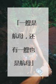 一艘是航母，还有一艘也是航母