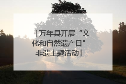 万年县开展“文化和自然遗产日”非遗主题活动