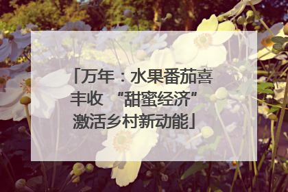 万年：水果番茄喜丰收 “甜蜜经济”激活乡村新动能