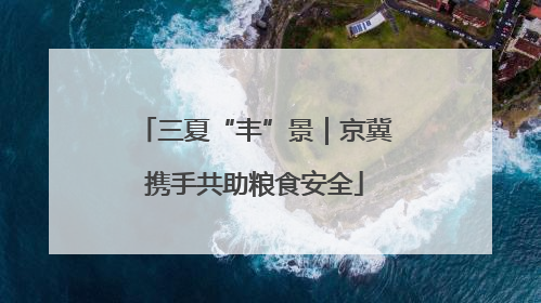 三夏“丰”景｜京冀携手共助粮食安全
