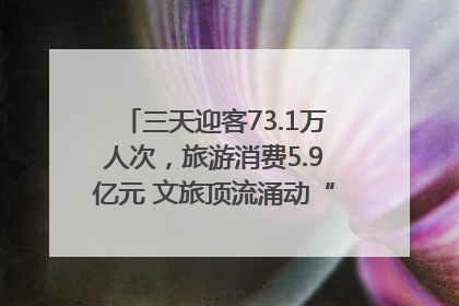 三天迎客73.1万人次，旅游消费5.9亿元 文旅顶流涌动“江宁style”