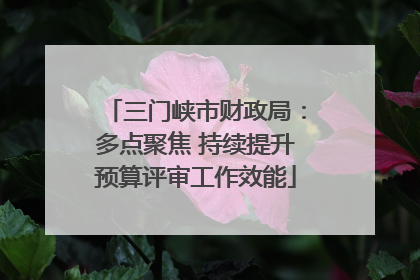 三门峡市财政局：多点聚焦 持续提升预算评审工作效能