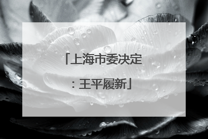上海市委决定：王平履新