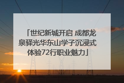 世纪新城开启 成都龙泉驿光华东山学子沉浸式体验72行职业魅力